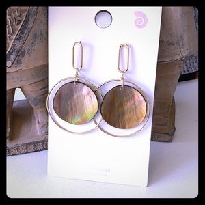 New Zealand Sea Shell earrings